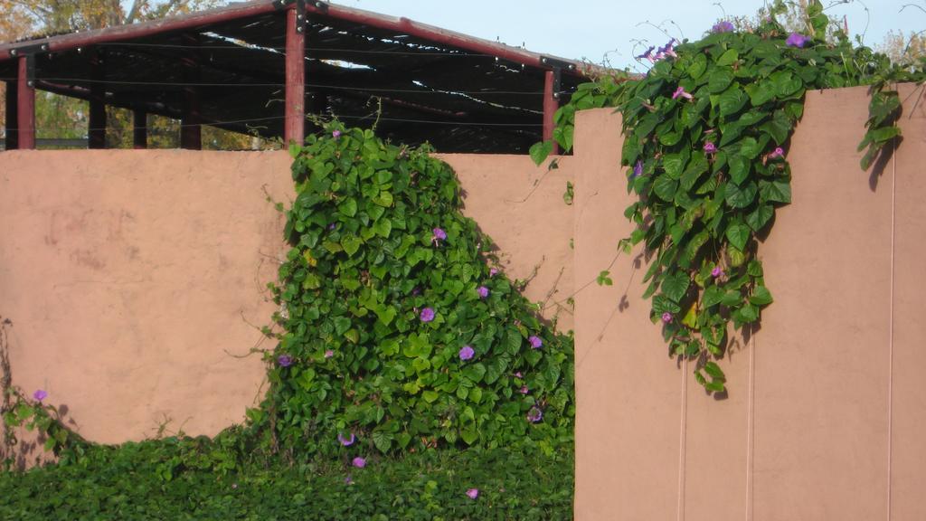 Posada Del Viajero San Rafael Ngoại thất bức ảnh